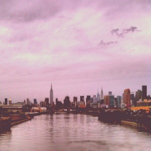 One year: New York City
